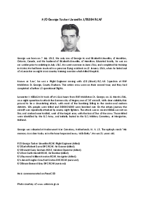 A preview of a PDF biography for Llewellin, George Tucker